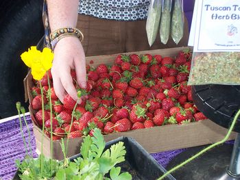 Barber Farm
Conservation Planning
Logging
Farmers' Market