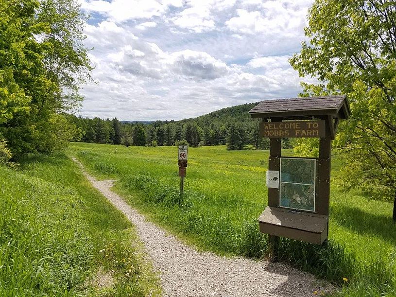 Walking path at Mobbs Farm