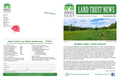 JULT Spring 2021 Newsletter