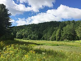 blue skies and puffy white clouds in summer at Wolfrun Natural Area