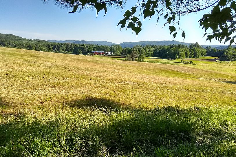 South view of Barber Farm
