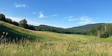 blue skies over Tomasi Meadow