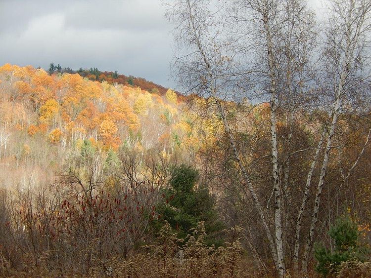 JULT Jericho Underhill Land Trust in Vermont