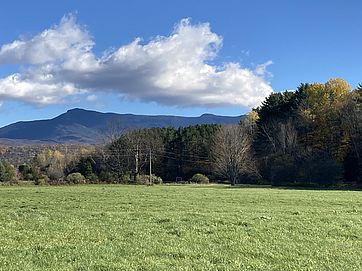 Riverside Meadow in fall