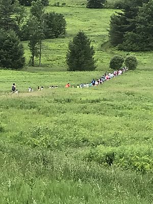 A school class walks through the fields of Mobbs Farm