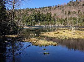 late fall at Wolfrun Natural Area
