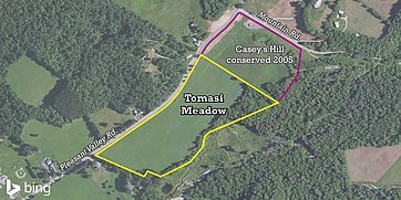 Aerial view of Tomasi Meadow and its borders