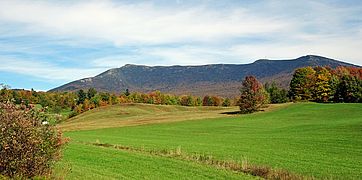 Tomasi Meadow in late fall 