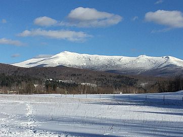 Riverside Meadow in winter