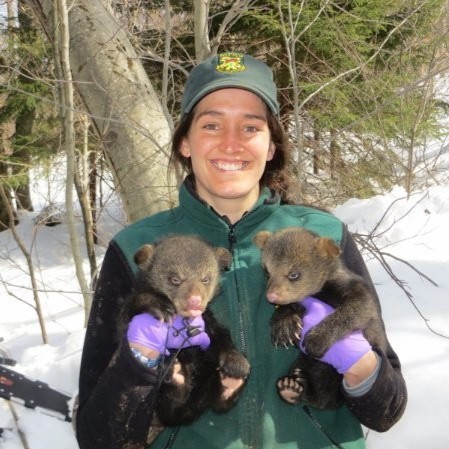 Image of Jaclyn Comeau holding two black bear cubs